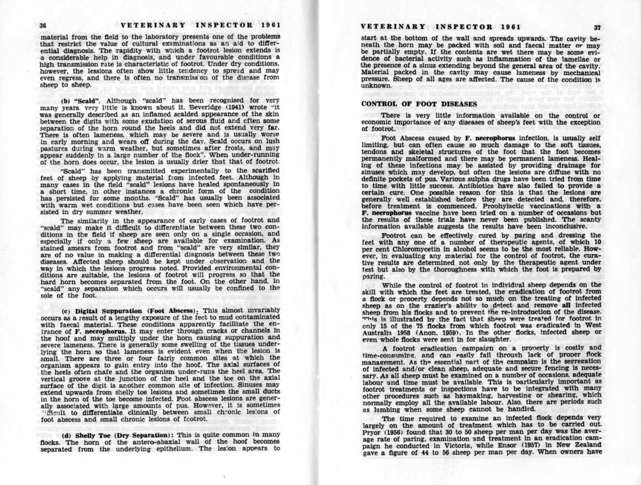 1961 Page 36 37
